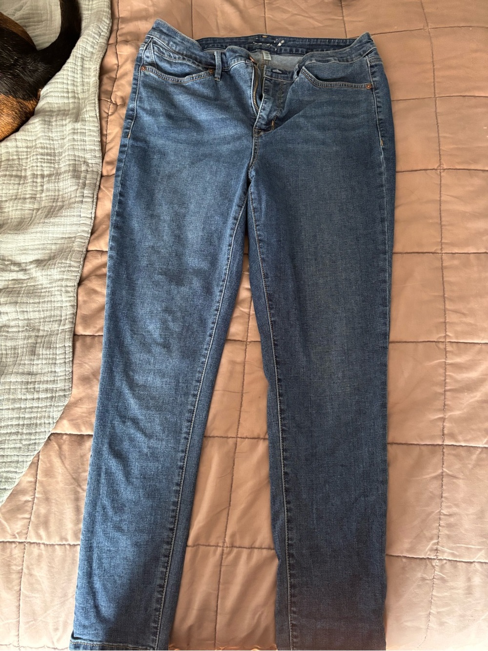 Seven7 Women's Skinny Jeans in Blue Wash